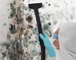 Best Mold Remediation for Rental Properties  in Claremont, NH